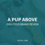 A Pup Above Dog Food Review: 10,000 Woofs and Still Rolling