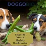 A Pup Above: Unlocking the Secrets of Optimal Dog Nutrition