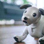 🤖 AI Robot Pets: 2025 Revolutionizing Pet Care & First Aid