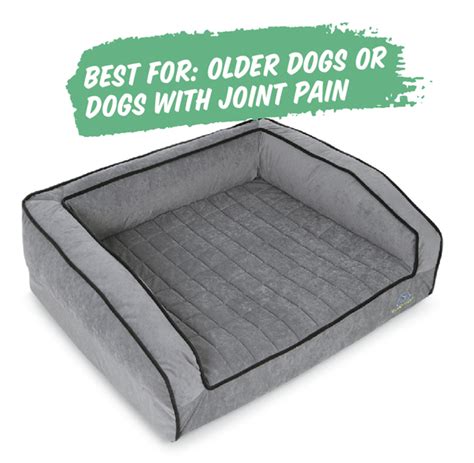 How to Choose the Best Dog Bed Filling: The Ultimate Guide for 2025