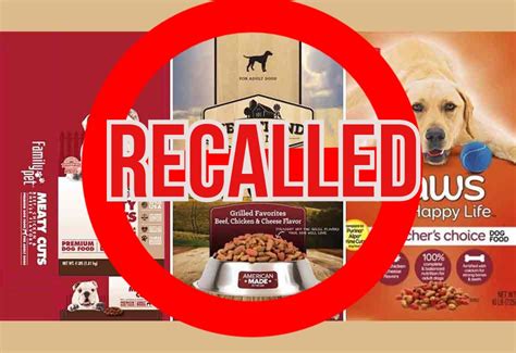 Pet Food Recalls and Safety News: 2025 VS 2023