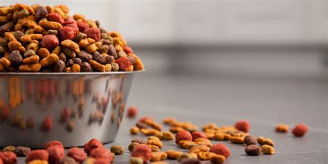 Pet Food Product Reviews: The Ultimate 2025 Showdown